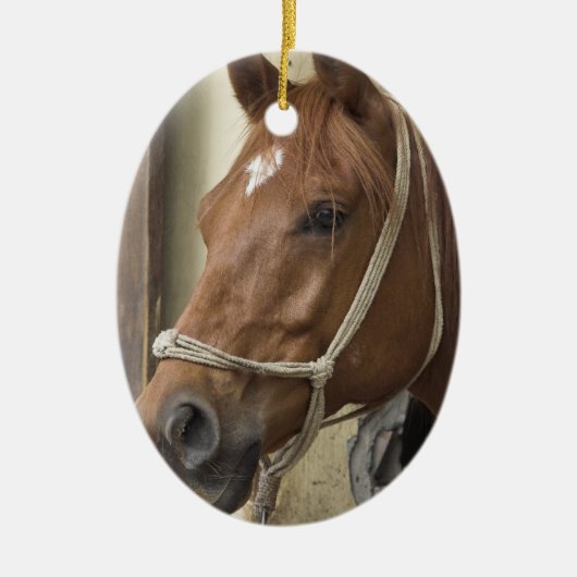 Ornement arabe de cheval (Devant)