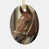 Ornement arabe de cheval (Dos)