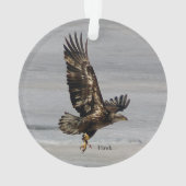 Ornement arcyllique de Hawk (dos)