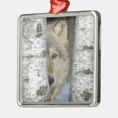 ornement avec la PIC du loup gris dans quelques (Gauche)