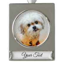 Bannière de Noël en argent de Malshi