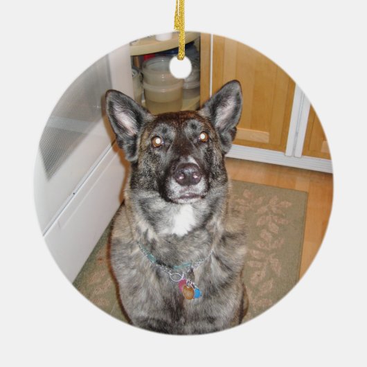 Ornement bel de chien (Dos)