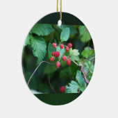 Ornement Berry Branches (Droite)