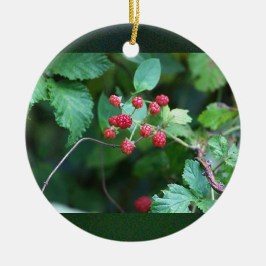 Ornement Berry Branches (Devant)