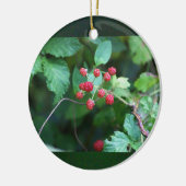 Ornement Berry Branches (Gauche)