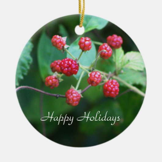 Ornement Berry Branches (Devant)