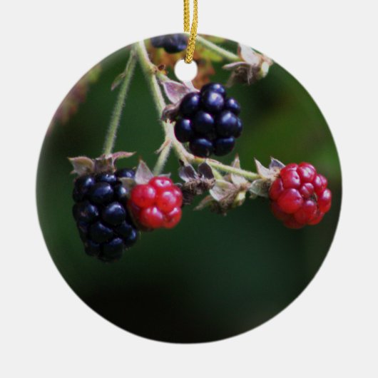 Ornement Berry Branches (Devant)