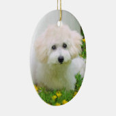 Ornement bilatéral de vacances de photo (Droite)