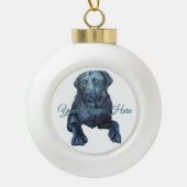 Ornement Black Lab Décor de Noël Chien Bleu (Devant)