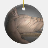 ornement blanc des dossiers 2-Sided (Dos)