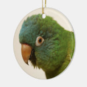 ornement Bleu-couronné de Conure (Gauche)