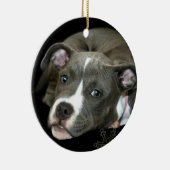 Ornement bleu de chiot de pitbull (Droite)