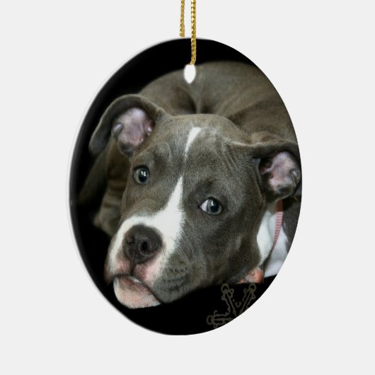 Ornement bleu de chiot de pitbull (Droite)