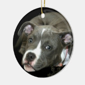 Ornement bleu de chiot de pitbull (Gauche)