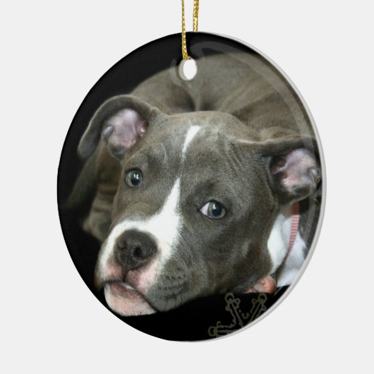 Ornement bleu de chiot de pitbull (Gauche)