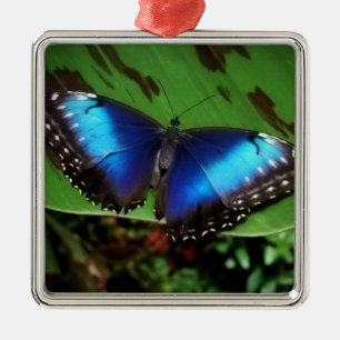 Ornement bleu de Noël de papillon