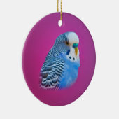 Ornement bleu de perruche (Droite)