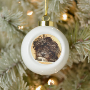 Ornement Boule de Schnoodle