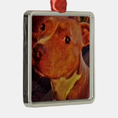 Ornement BRINDLE de PITBULL (Droite)