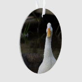 Ornement Canard Blanc (devant)