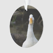 Ornement Canard Blanc (devant)