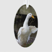 Ornement Canard Blanc (devant)