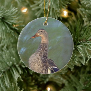 Ornement Canard Colvert