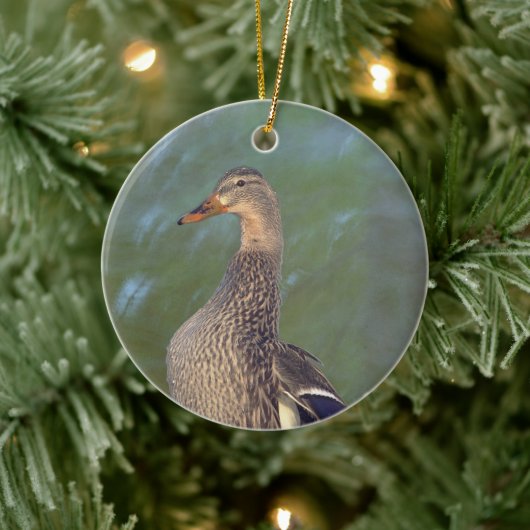 Ornement Canard Colvert (Arbre)