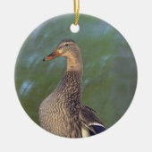 Ornement Canard Colvert (Devant)
