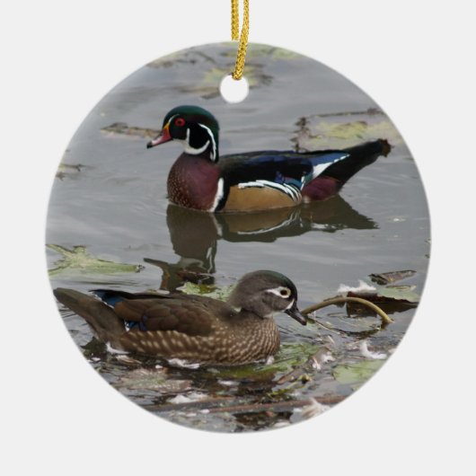 Ornement Canards Branchus (Devant)