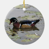 Ornement Canards Branchus (Dos)