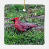 Ornement cardinal (Dos)