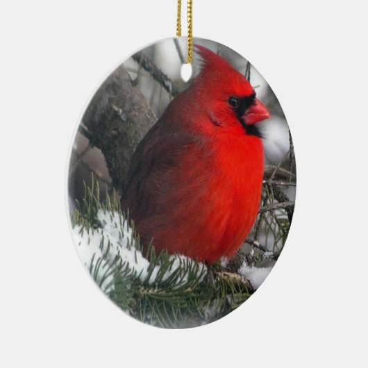 Ornement cardinal (Droite)