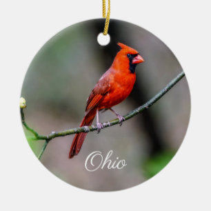 Ornement cardinal de l'Ohio
