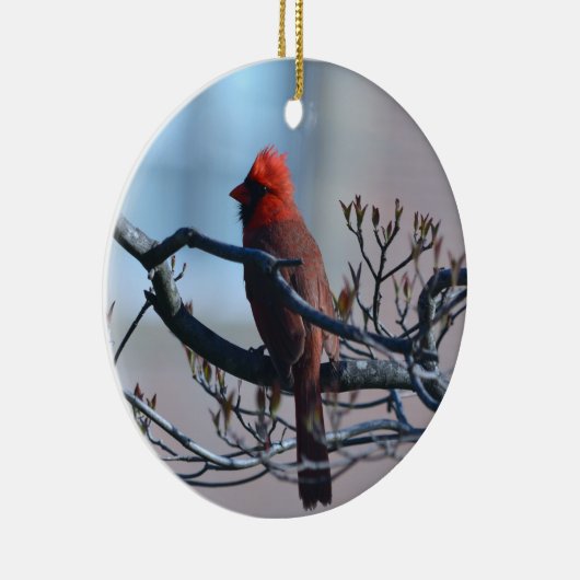 Ornement cardinal masculin (Droite)