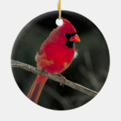 Ornement cardinal rouge de Noël (Dos)