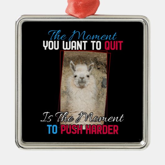 Ornement Carré Argenté Alpaca Llama - Push Harder Encouragement (Devant)