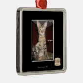 Ornement Carré Argenté Amis d'idiot (Droite)