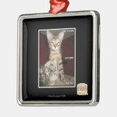 Ornement Carré Argenté Amis d'idiot (Gauche)