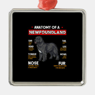 Ornement Carré Argenté Anatomie D'Un Chien De Terre-Neuve Amateurs