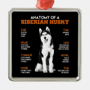 Ornement Carré Argenté Anatomy of a Siberian Husky dogs funny Art