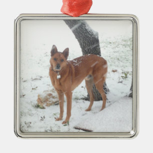 Ornement Carré Argenté Animal familier de collection de Noël ou photo de