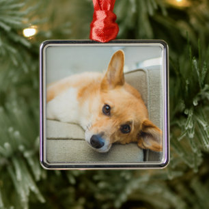 Ornement Carré Argenté Animaux de bébés cutest Chiot de Corgi sur canap