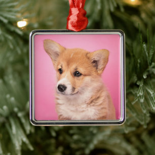 Ornement Carré Argenté Animaux de bébés cutest Corgi Chiot rose