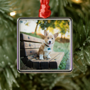 Ornement Carré Argenté Animaux de bébés cutest Corgi Puppy sur un banc