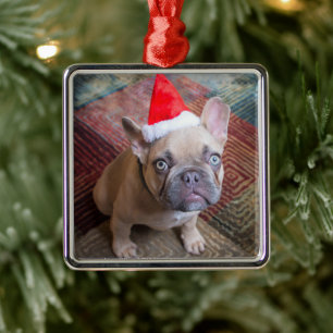 Ornement Carré Argenté Animaux de bébés cutest   French Bulldog Christmas
