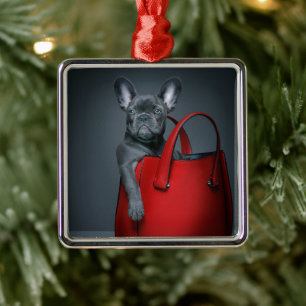 Ornement Carré Argenté Animaux de bébés cutest French Bulldog dans le s