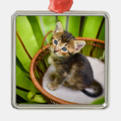 Ornement Carré Argenté Animaux de bébés cutest | Kitten dans le panier (Devant)