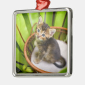 Ornement Carré Argenté Animaux de bébés cutest | Kitten dans le panier (Gauche)