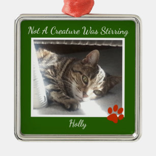 Ornement Carré Argenté Animaux de compagnie